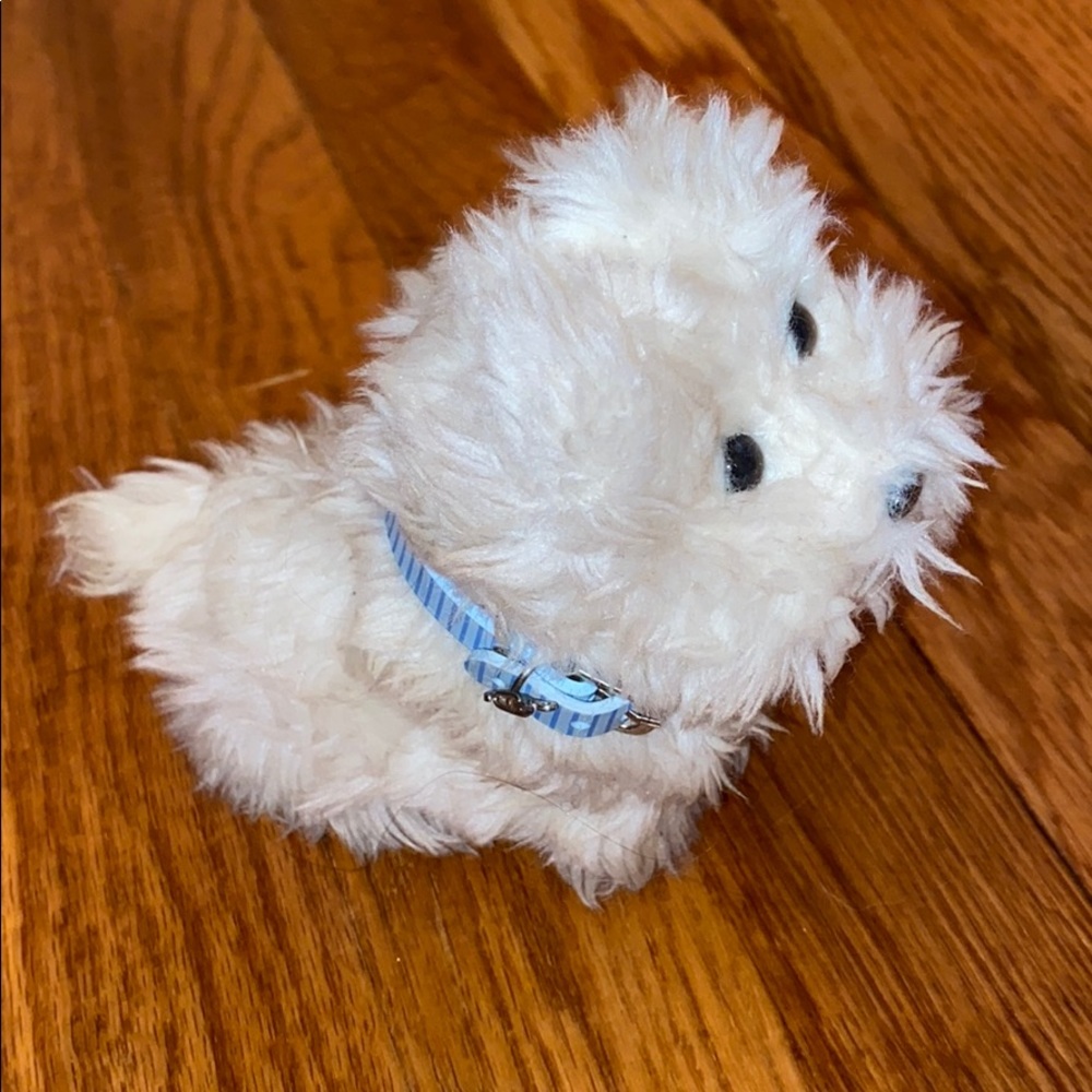 Anerican Girl Dog Coconut Dog
